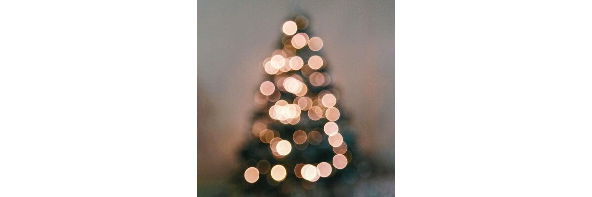 Treffpunkt takes a Christmas break - Sprachinstitut Treffpunkt takes a Christmas break