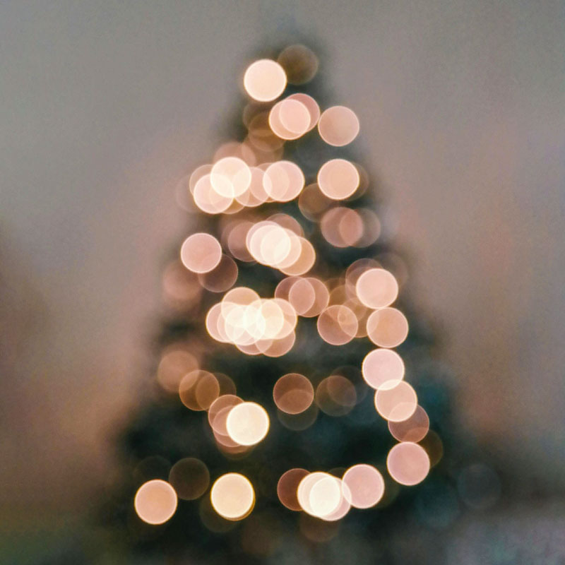 Sprachinstitut Treffpunkt macht Weihnachtsferien